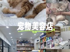 -四月宠物医院·猫专科·心脏专科·内科(转塘店)