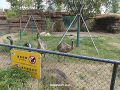 -成都动物园