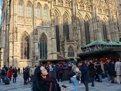 -斯蒂芬主教座堂(Stephansdom)