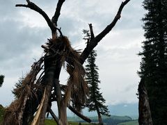 -新疆那拉提国家旅游度假区