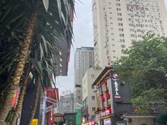 -钟方模白家肥肠粉(春熙店)