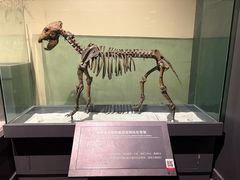-大庆市博物馆