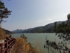 -羚羊峡古栈道森林公园