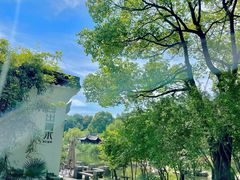 -日出青木·杭帮菜名店