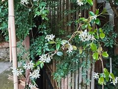 -贵阳市花溪国家城市湿地公园