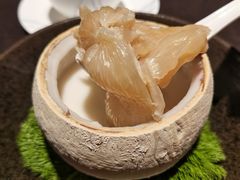 原只椰皇炖花胶-广州文华东方酒店·江-由辉师傅主理