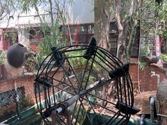 -园林美食城·本土农家菜(杨和镇店)