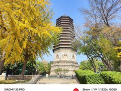 -玲珑塔公园