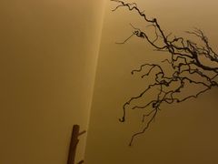 -静耳元気采耳·按摩·SPA(万象前海店)