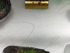 -海玥荟海鲜姿造自助餐厅(欧罗巴广场店)