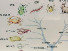 -上海昆虫博物馆