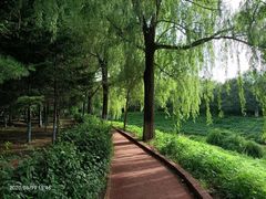 -黛秀湖公园