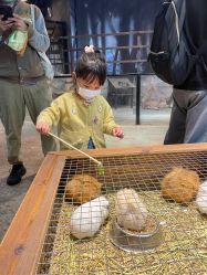 点击看大图 -酷嗒动物文化乐园(cutezoo西溪乐天城店)