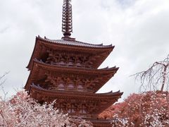 -醍醐寺