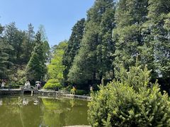 -庐山风景区花径公园