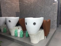 -INS羽毛接发·巴黎画染