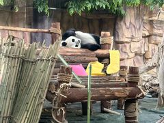 -泉州海丝野生动物世界