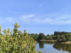 -东郊湿地公园