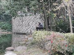 -活水公园