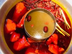 -王婆乔鲜鱼自助火锅(蜀汉路店)