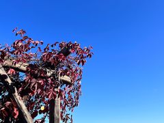 -香山公园