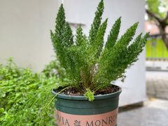 -Kekimatata 生日蛋糕·烘焙教学