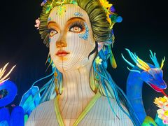 -淄博花灯齐彩城