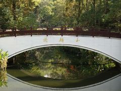 -东平国家森林公园
