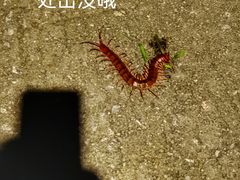 -那琴半岛地质海洋公园