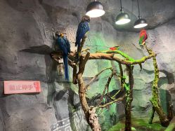 -Zoolung Zoolung动物主题公园(海信广场店)