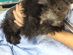 -康乐宝动物医院