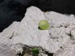 -大蓉和(一品天下店)