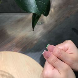 点击看大图 -LILY NAILS美甲美睫