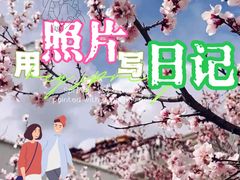 -布达拉宫