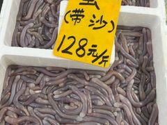 -寻味顺德·南记酒家·传统顺德菜·鱼生(广源路店)