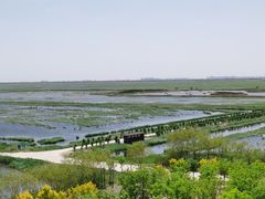 -南大港湿地风景区