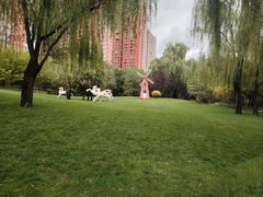 -迎泽公园