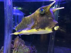 -太平洋海底世界