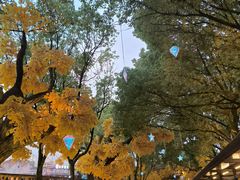 -横店影视城梦幻谷园区