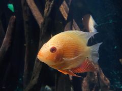 -常州海昌海洋探索馆