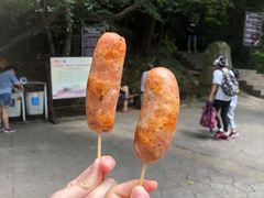-紫金山山顶公园