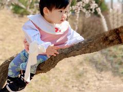 -永定河休闲森林公园