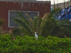 -霞山观海长廊
