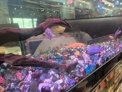 -新辉港式茶餐厅(北栅店)