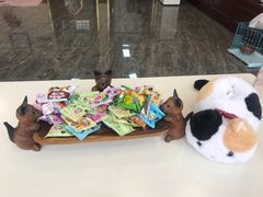 -宠爱国际动物医院· 猫科· 外科·中兽医(长白店)