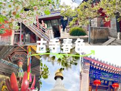 -五台山风景名胜区-罗睺寺