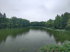 -东湖落雁景区