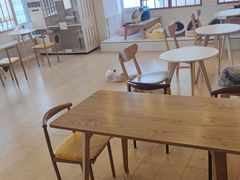 -Let's go狗咖·猫咖·奶狗·桌游(春熙路IFS店)