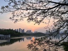 -月湖风景区