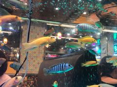 -新辉港式茶餐厅(北栅店)